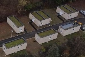 Toitures végétales sur logements modulaires par Floratoit à Jemelle